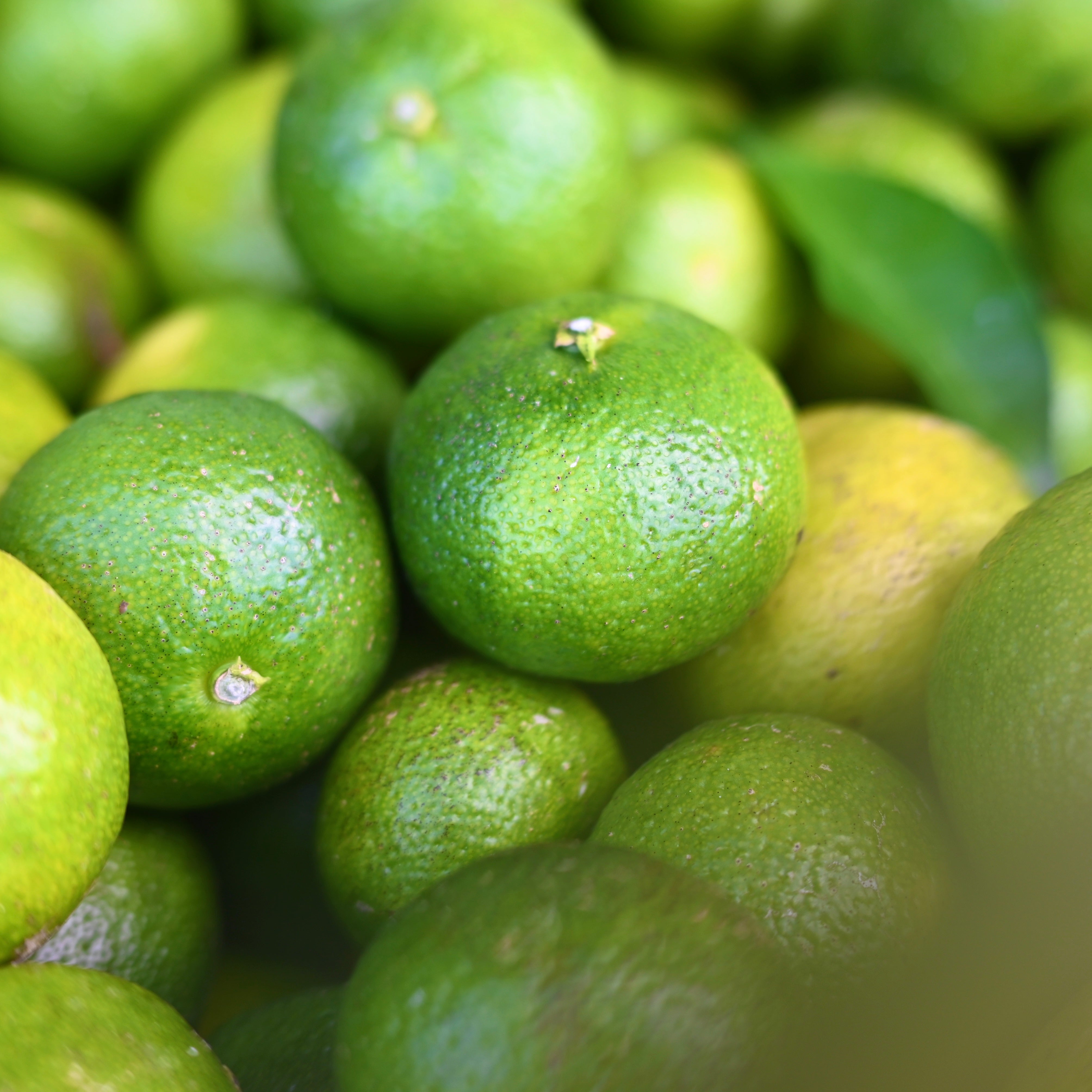 ゆこう果汁 90ml