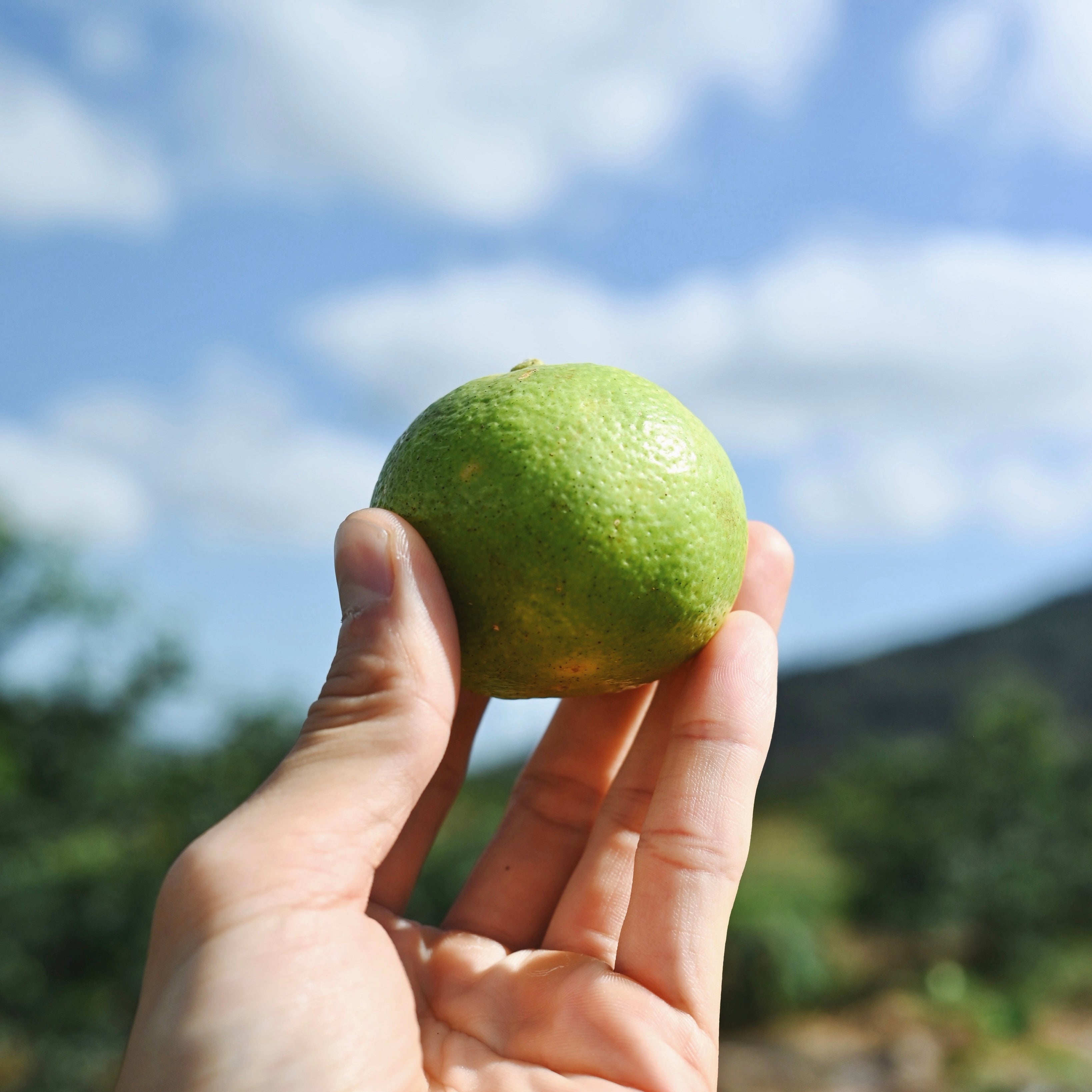 ゆこう果汁 90ml