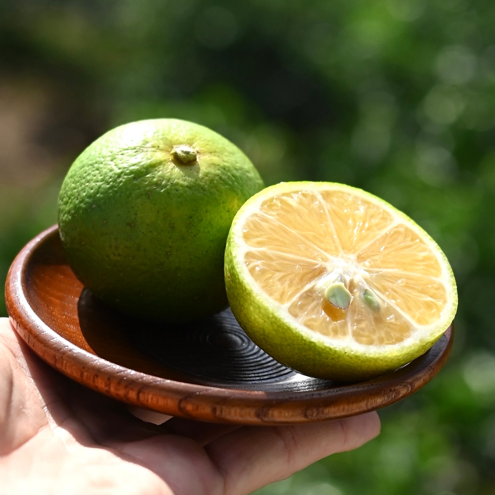 ゆこう果汁 90ml